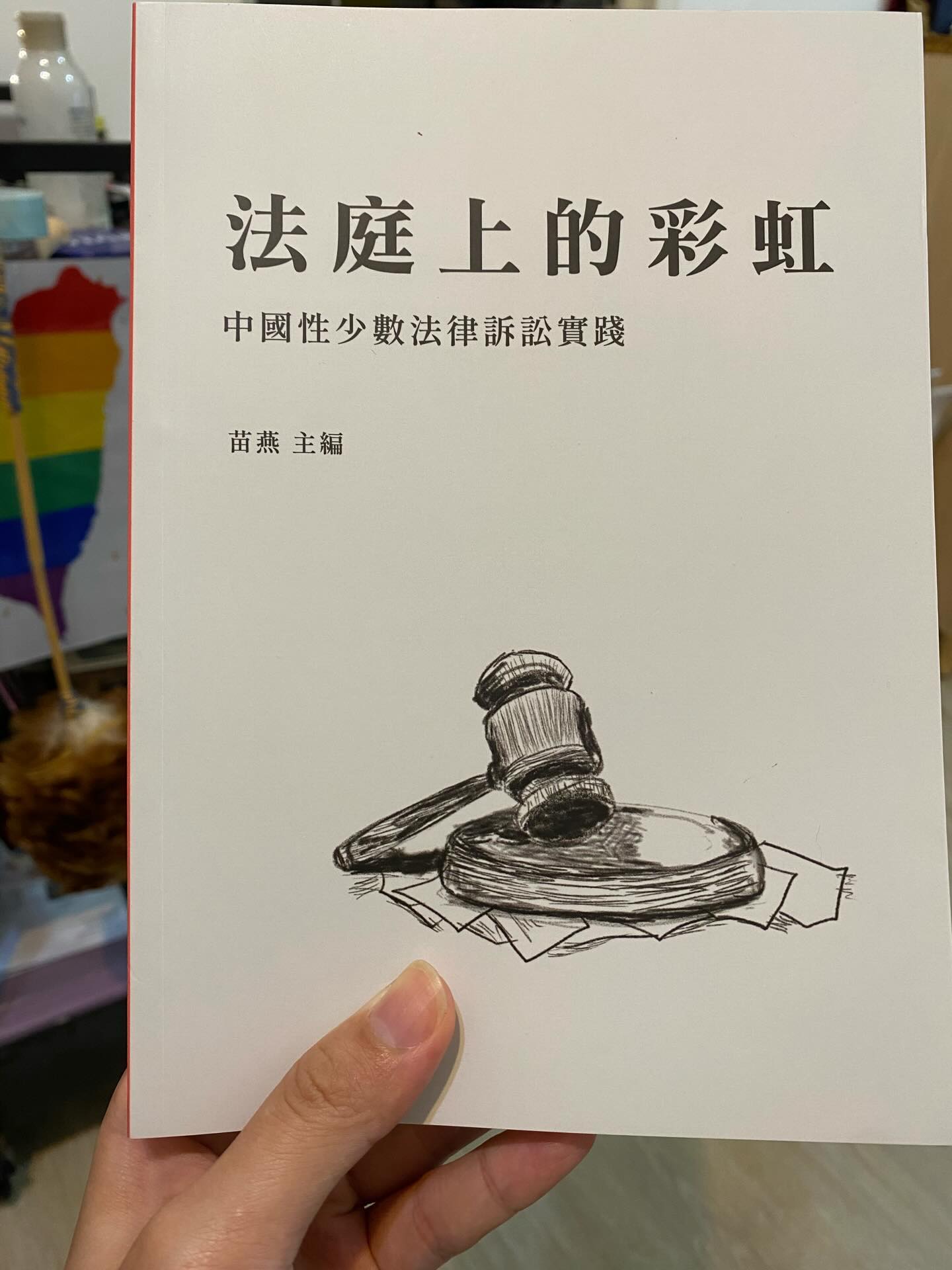 法庭上的彩虹 : 中國性少數法律訴訟實踐