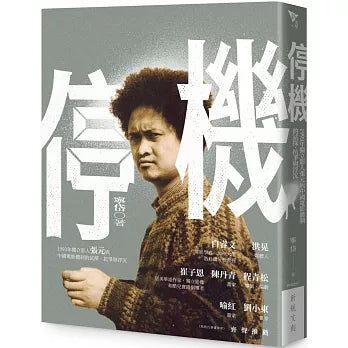 停機:1993年獨立影人張元與中國電影體制的試探、抗爭與浮沉