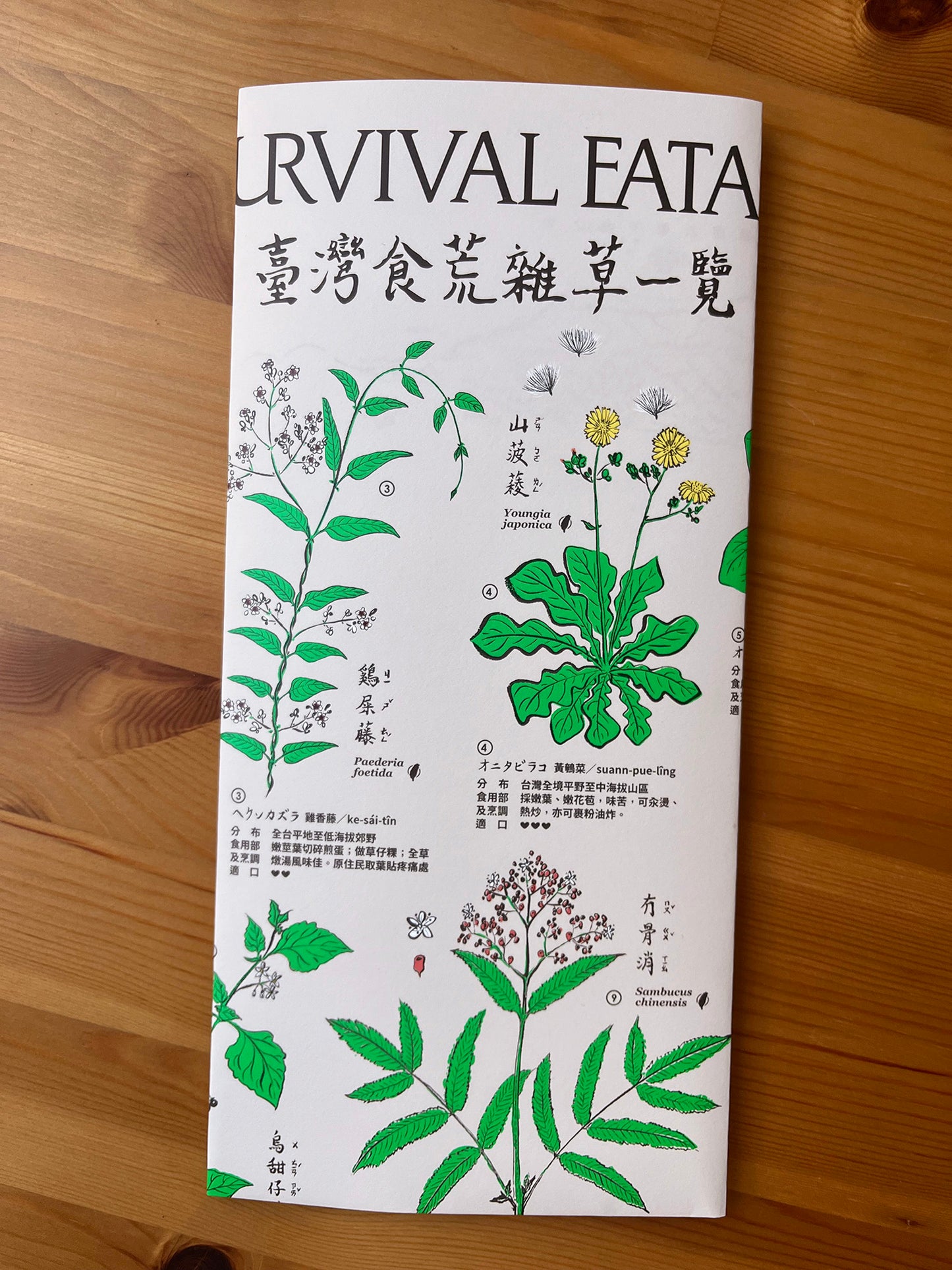 〈臺灣食荒雜草一覽〉當代採集圖譜 Taiwan Survival Eatable Plants