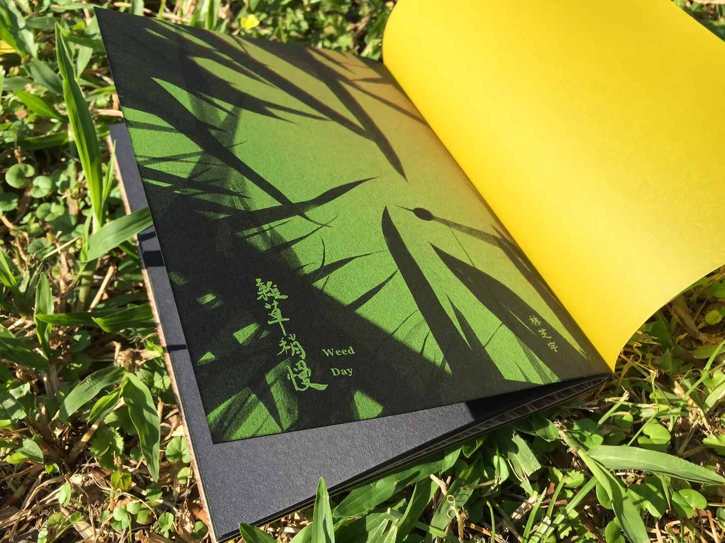 [Zine/小誌]《雜草稍慢》 Weed Day