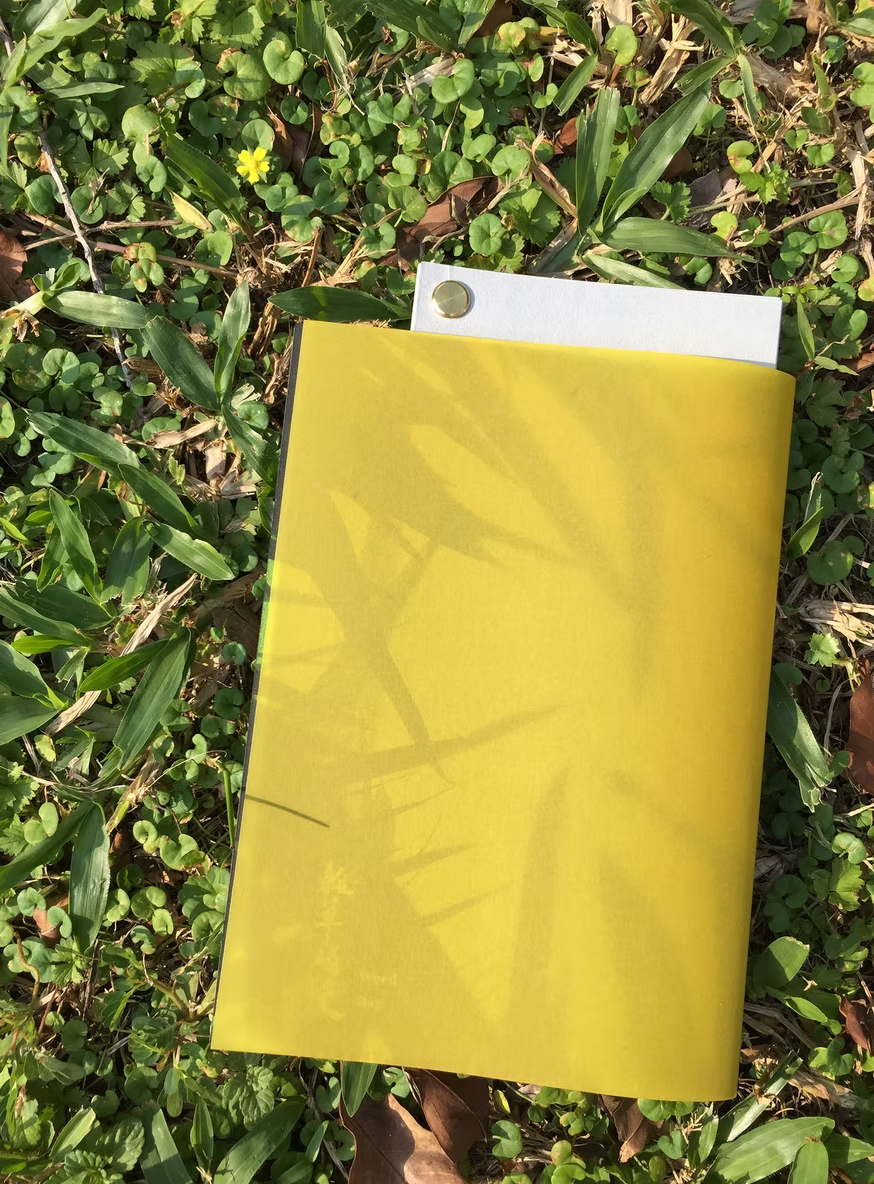 [Zine/小誌]《雜草稍慢》 Weed Day