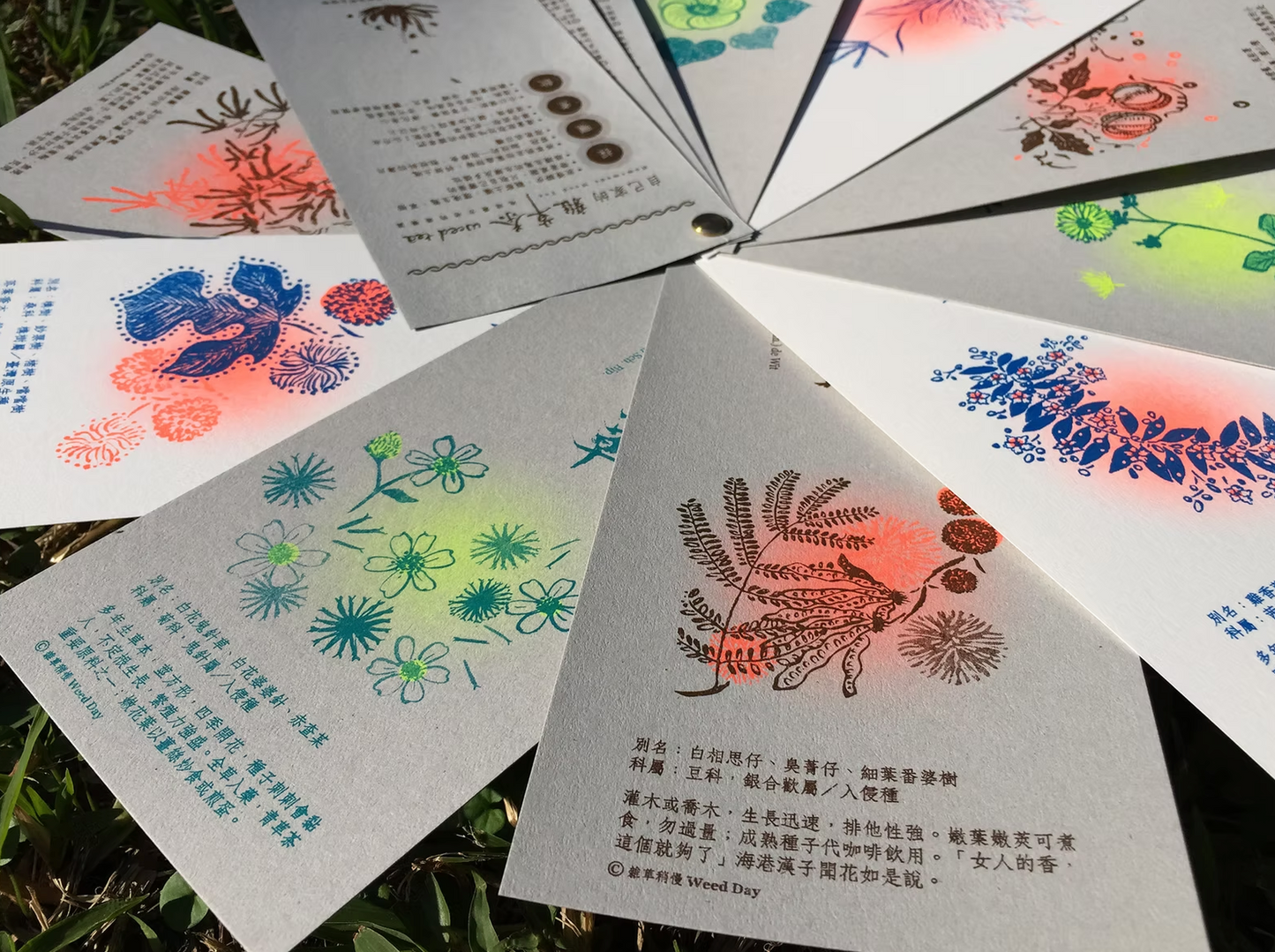 [Zine/小誌]《雜草稍慢》 Weed Day