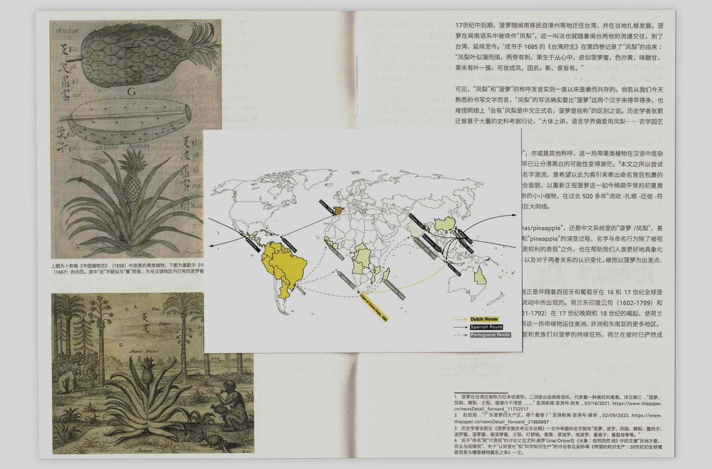 [zine/小誌] 菠蘿流浪史